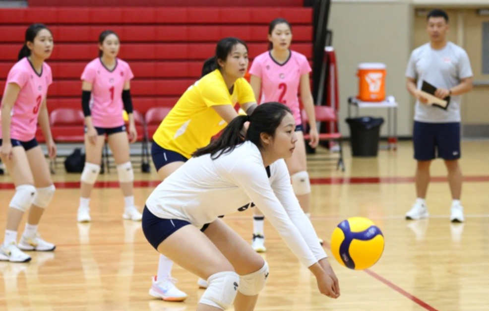 Vietnamese Women's Volleyball and a Data Gap More Costly Than Any Medal Vietnamese Women's Volleyball and a Data Gap More Costly Than Any Medal