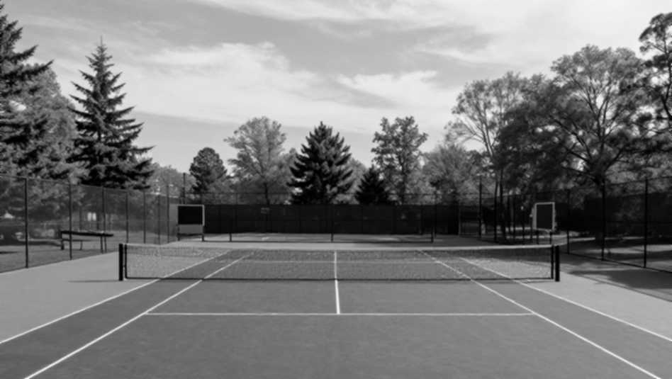 Alcaraz vs Faria: 14 Double Faults and the Fitness Equation at the US Open